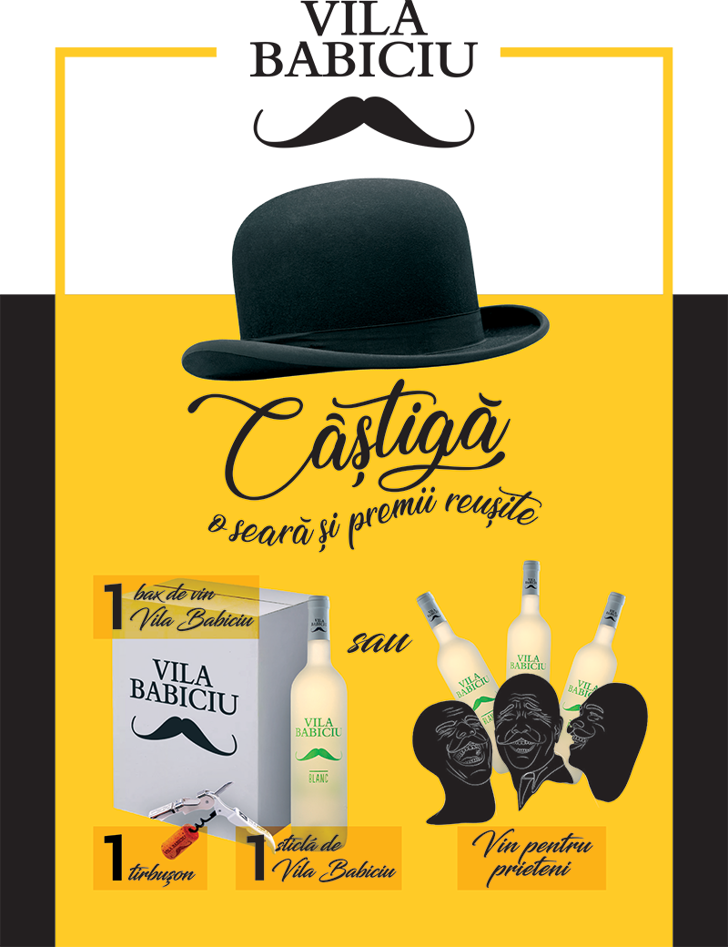 Vila Babiciu Campanie: Câștigă o seară și premii reușite